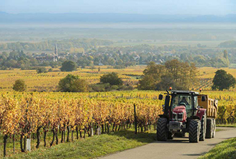 Access in Rural France