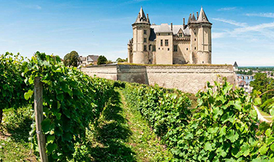 Wines of the Loire