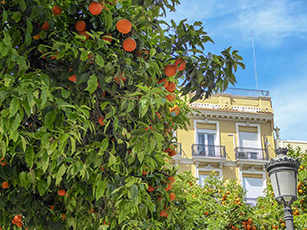 Valencia City