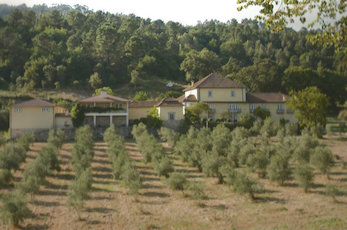 Buying a property in Portugal