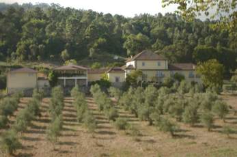 Buying a property in Portugal
